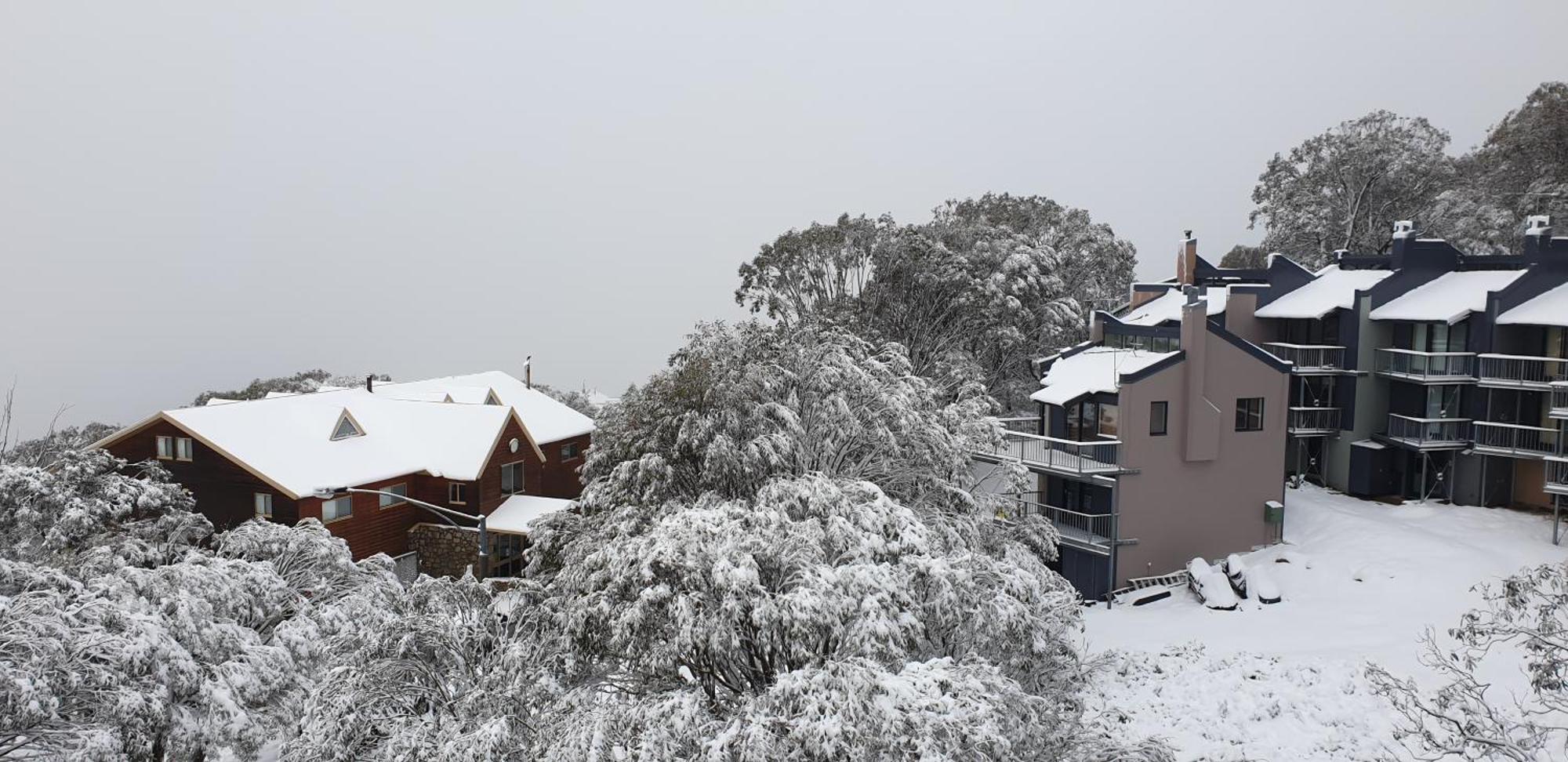 Cedarwood Apartments Falls Creek Zewnętrze zdjęcie